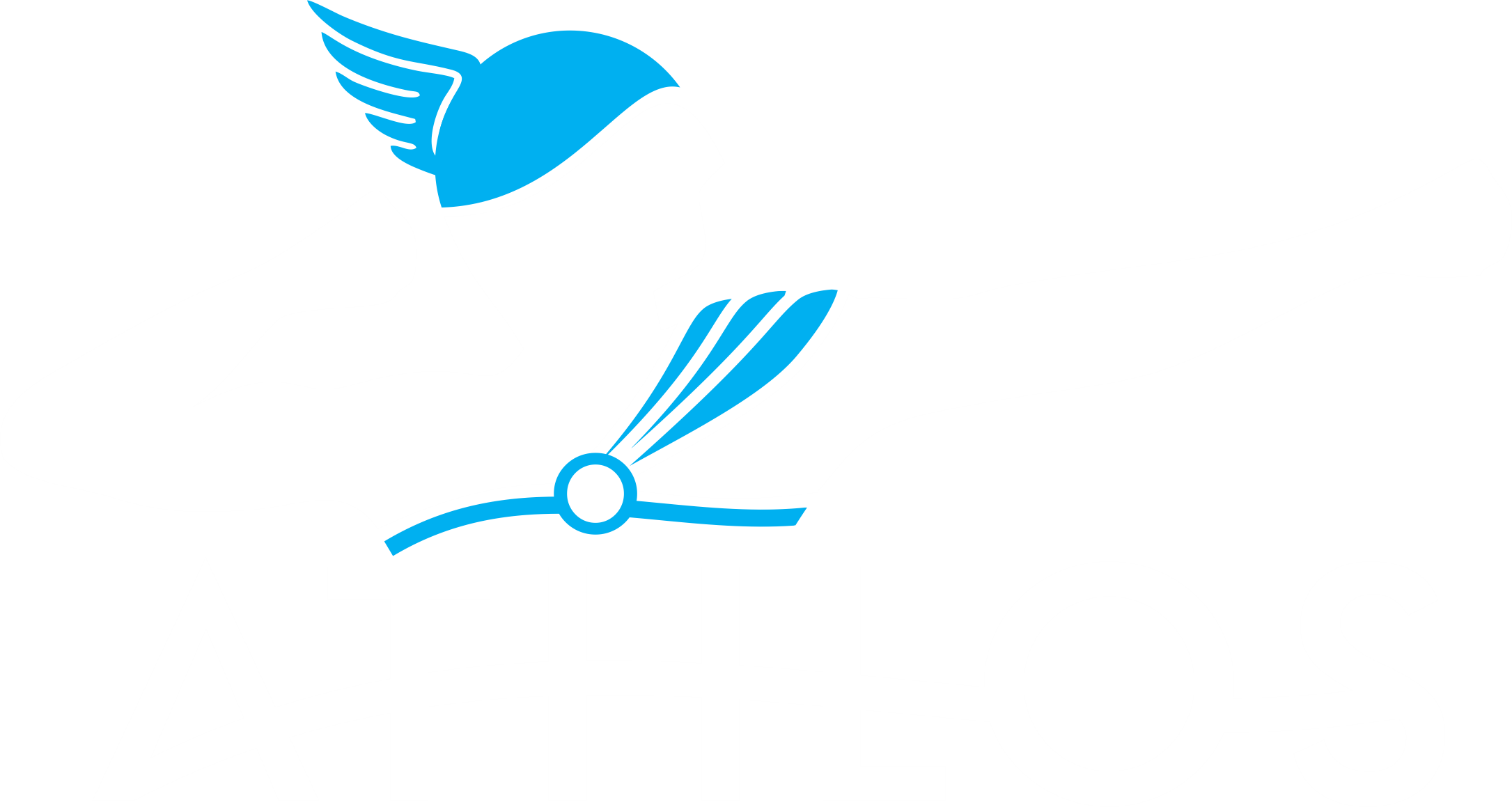 ATHLOS TEAM